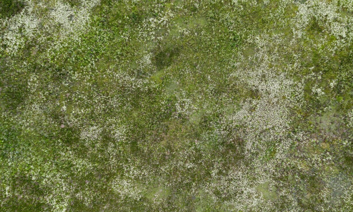 The Five Posts Everyone Read in 2023