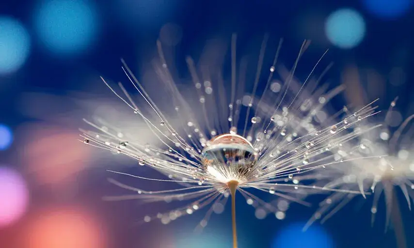 Adobe Stock 352523399