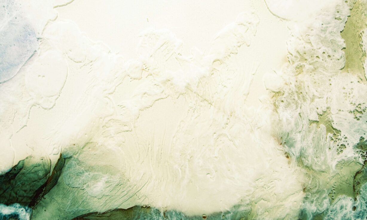 Cloudbreak™, AVITI™ FIT, and Customer Successes Underline a Banner Year