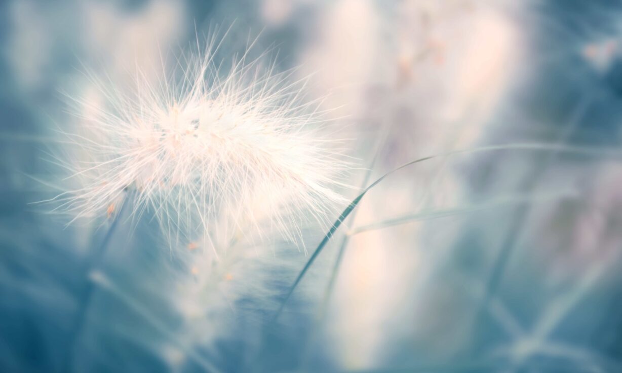 Spotlight on Our AVITI™ for All Grant Winner and Gut Microbiomes