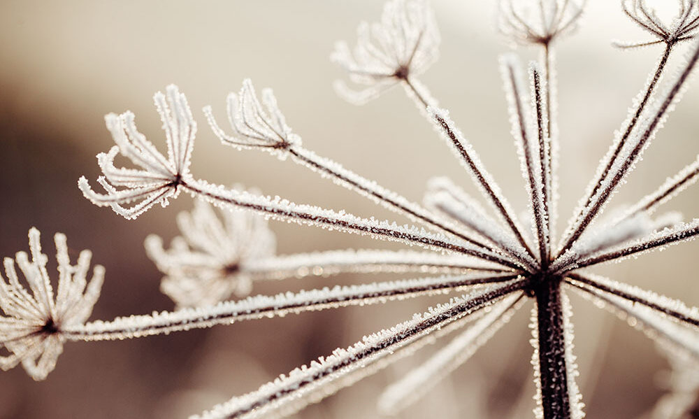 Reflecting on JPM, and Element’s Road Ahead in 2025