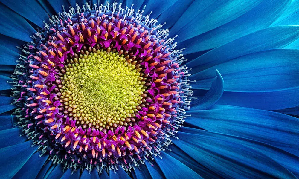 Adobe Stock 735031037