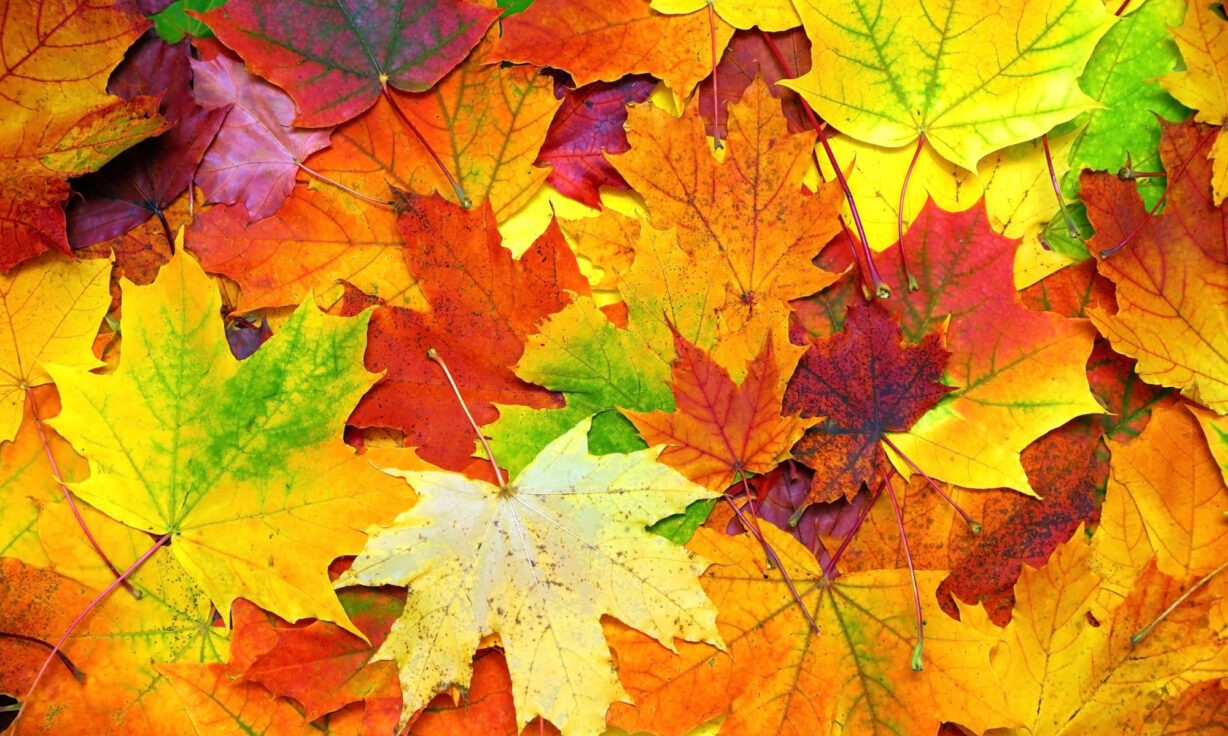 5 reasons to watch Beyond and witness a new era of multiomics