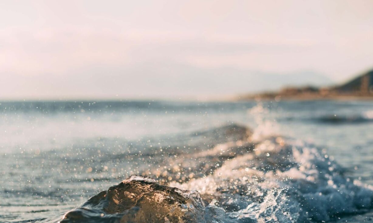 A New Study: High-Throughput Multiomics for the Modern High-Capacity Scientist