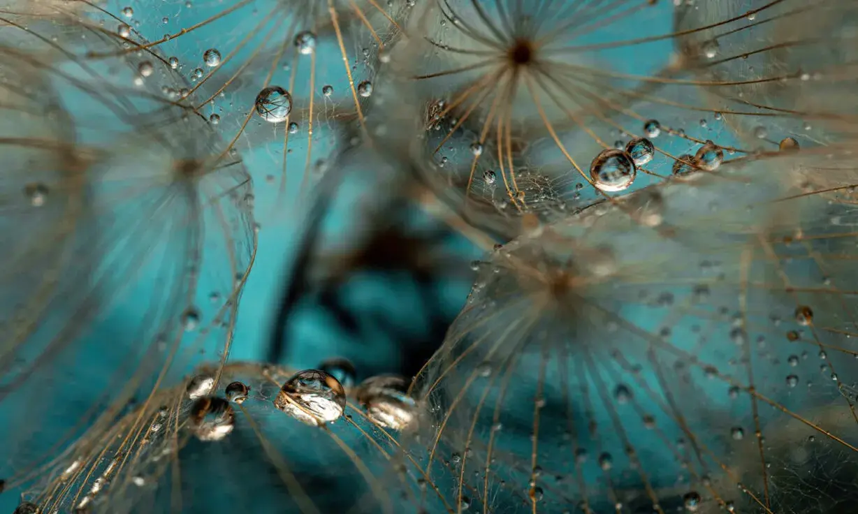 Uncovering the Meta-Transcriptome with Long-Read Sequencing - Video and Q&A Transcript from AGBT 2022