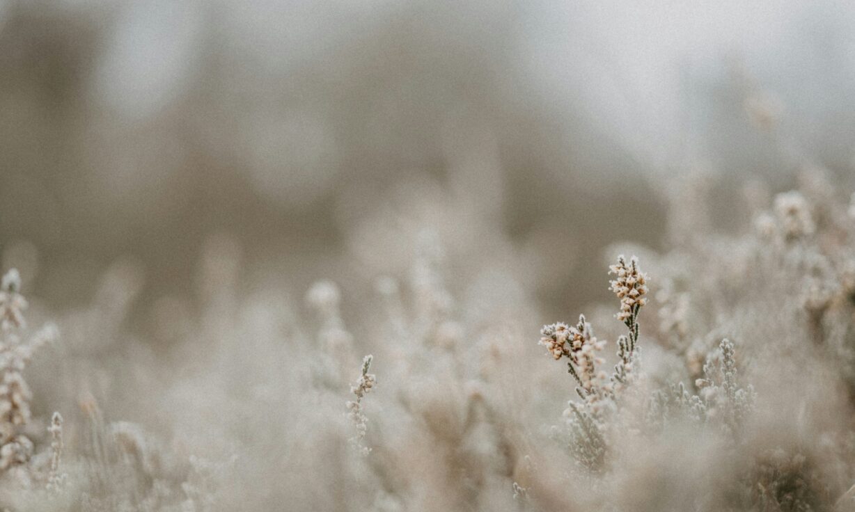 At AGBT, Element Launches New Tools to Empower Researchers to Shift Their Science