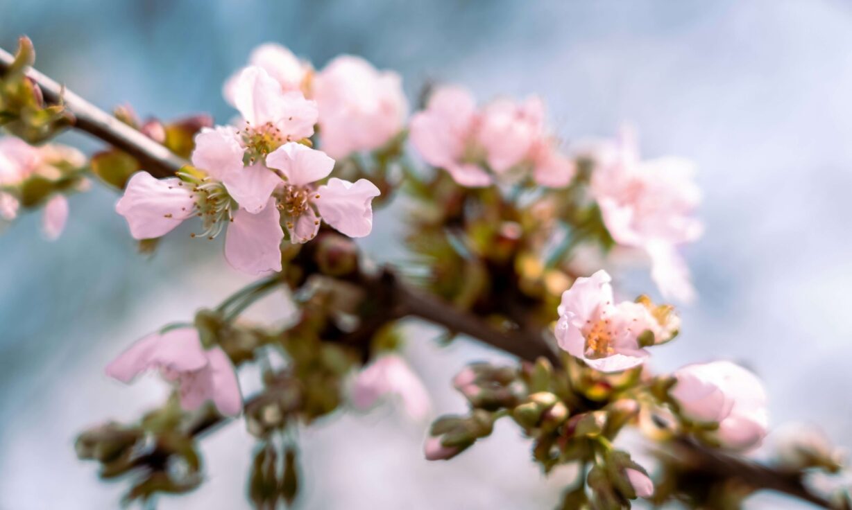 Exploring the Human Body’s Own Drug Library