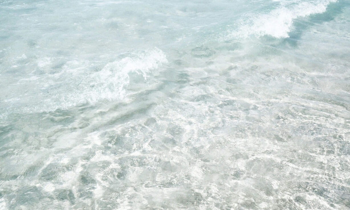 Cornell Researcher, Epigenomics Core Director Wows NY “Shift Your Science” Roadshow