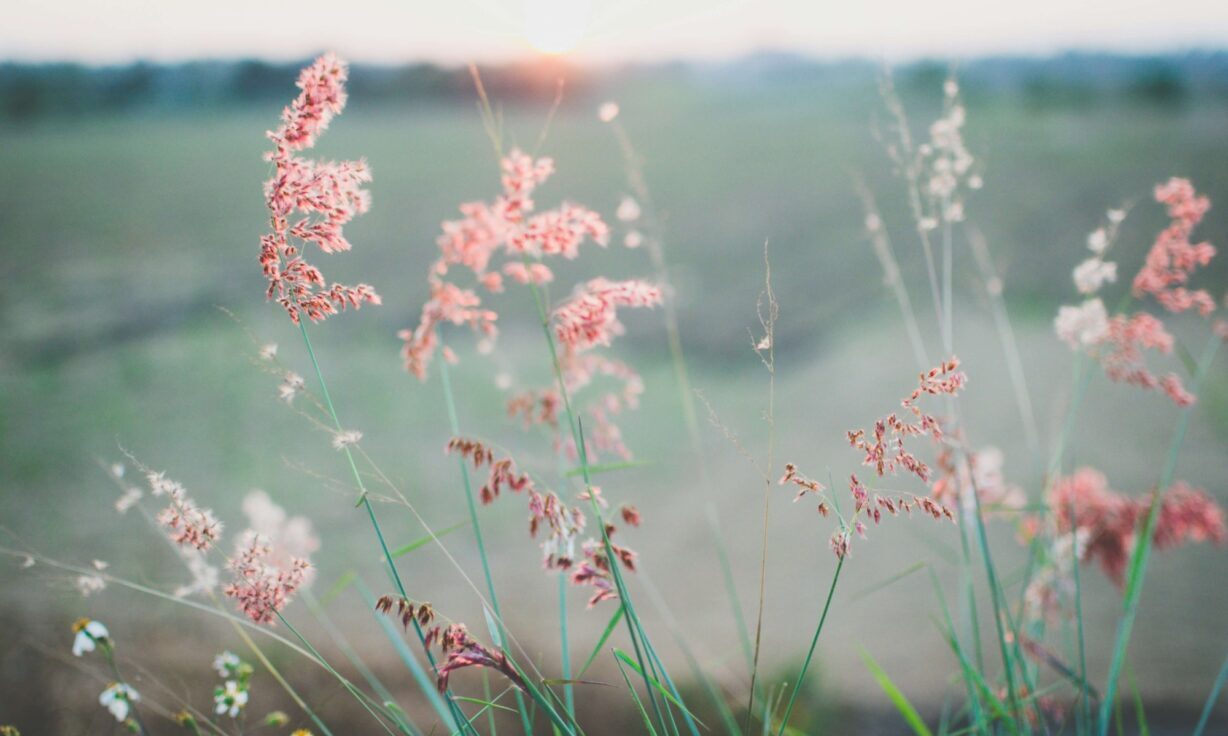 Embracing the Library Prep Paradox