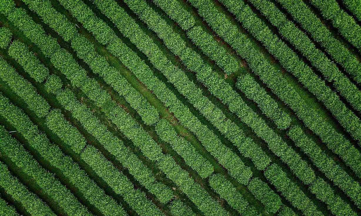 Measuring the Accuracy of Element AVITI™ Sequencing Data