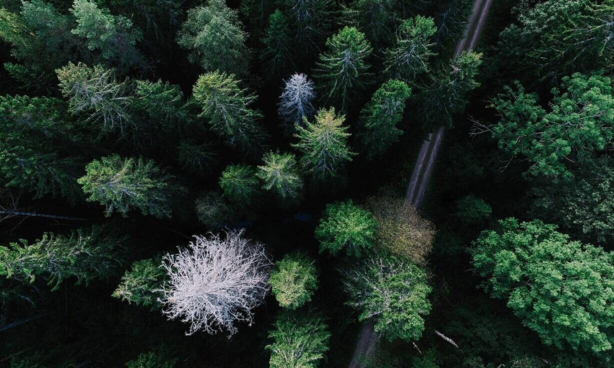 Meet Element Biosciences at MWACD 2023