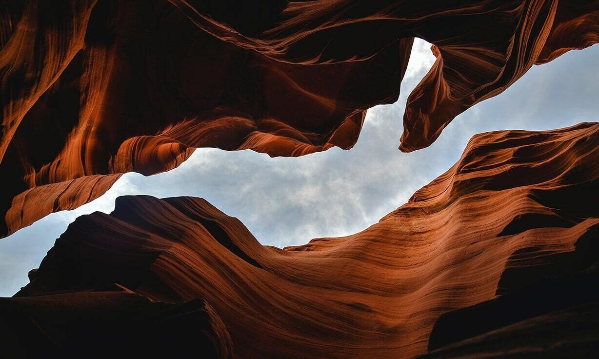 Meet Element Biosciences at The Festival of Genomics & Biodata