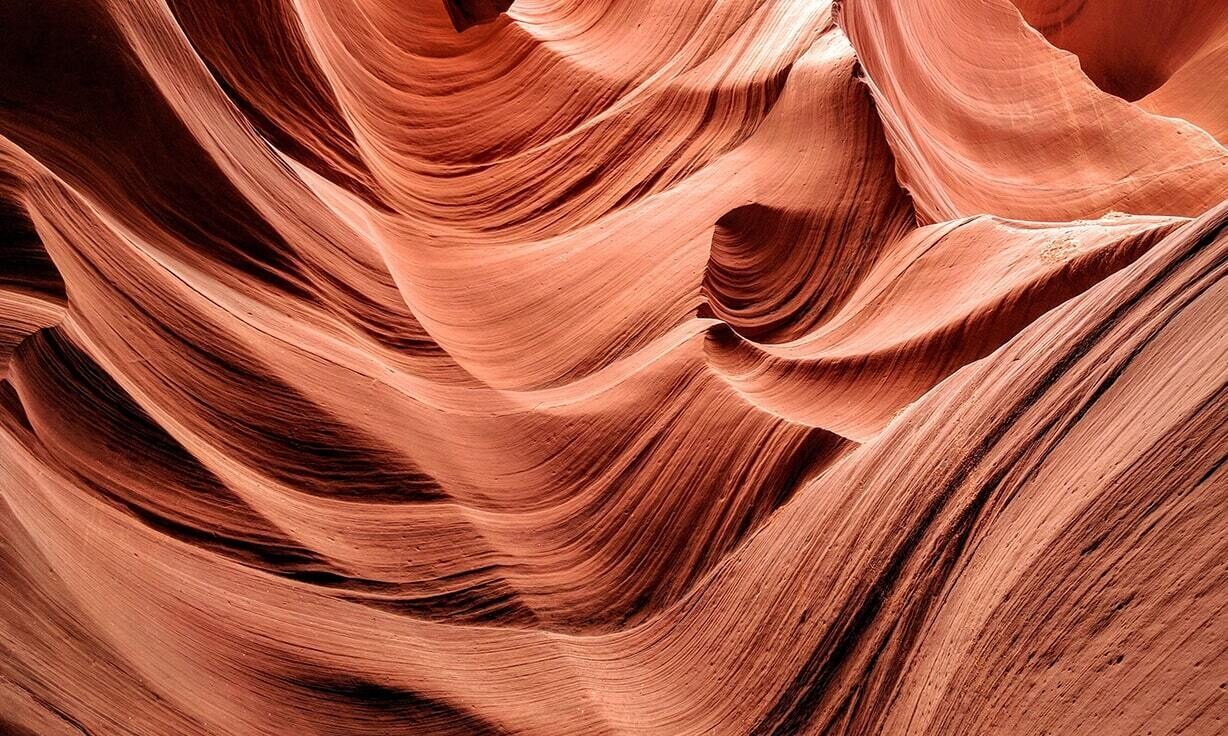 Meet Element Biosciences at WACD 2023