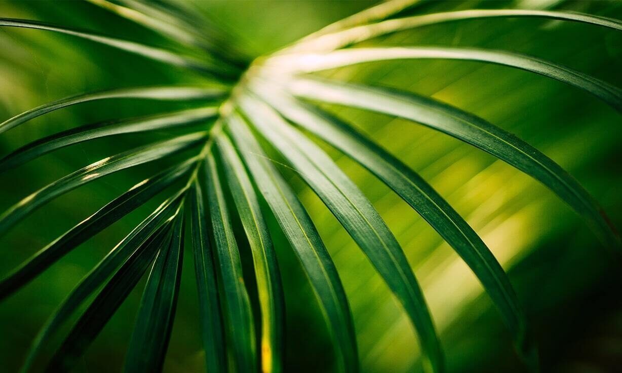 Meet Element Biosciences at NERLSCD 2023