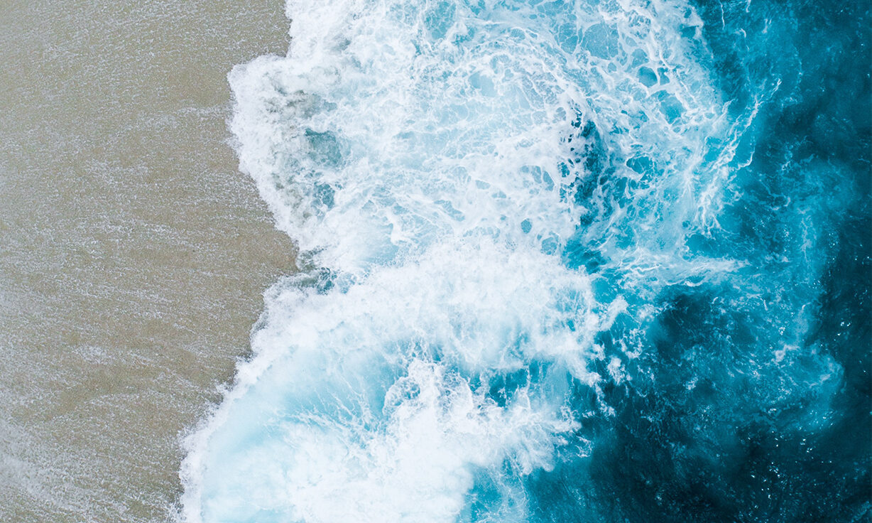 On Demand Webinar - Accelerate Your Science with DNA Sequencing Designed for You