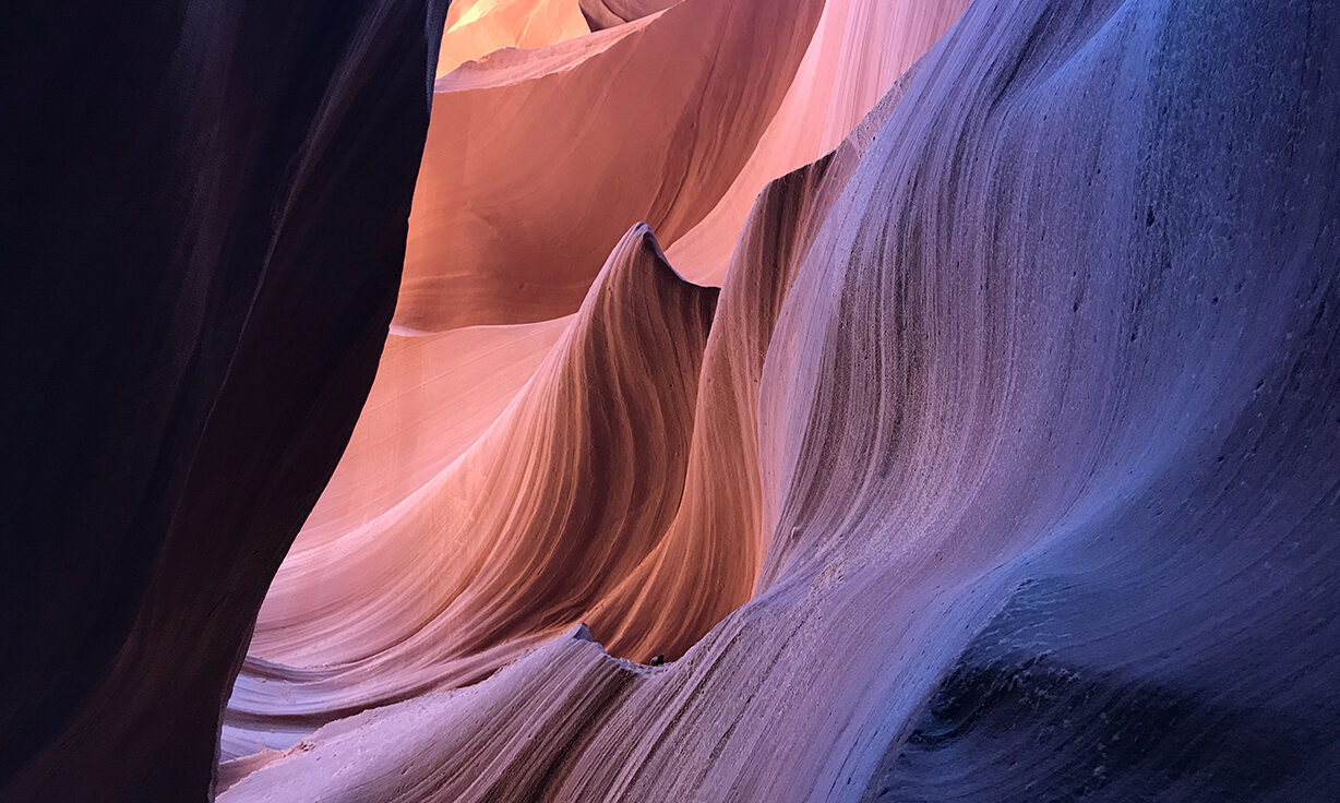 Meet Element Biosciences & AVITI™ at AGBT 2023