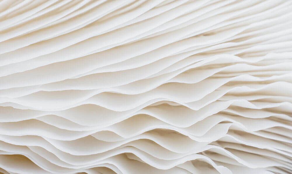 Meet Element Biosciences at Revolutionizing Next-Generation Sequencing (6th edition)