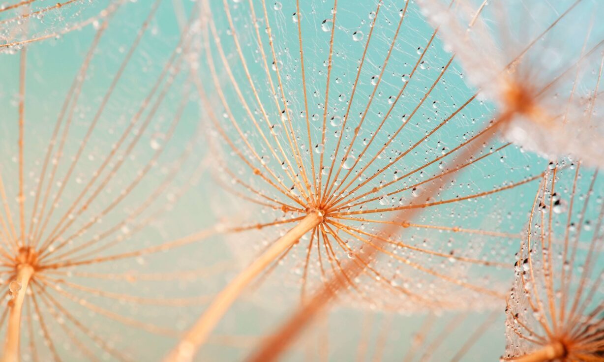 Meet Element Biosciences at the 2023 NIH Research Festival