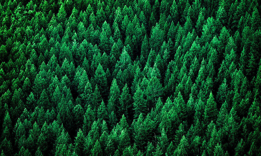 Meet Element Biosciences at HCA General Meeting Singapore