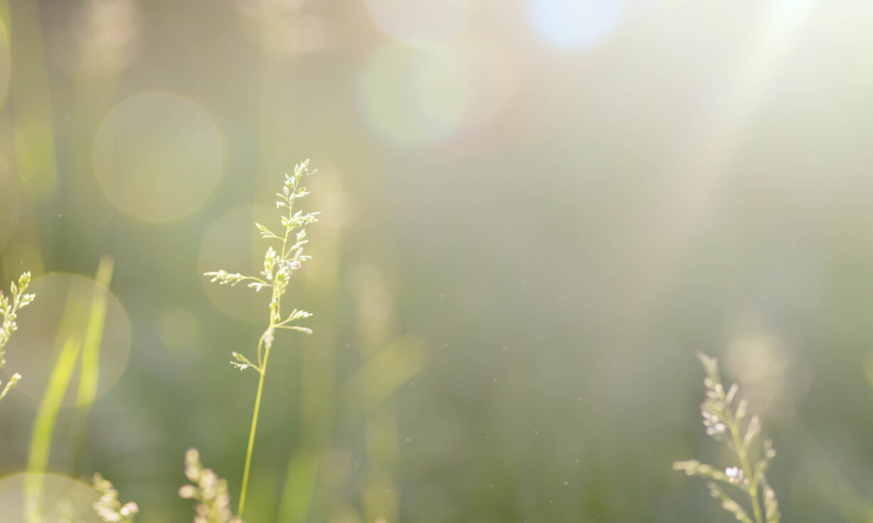 Meet Element Biosciences at Multiomics 2024