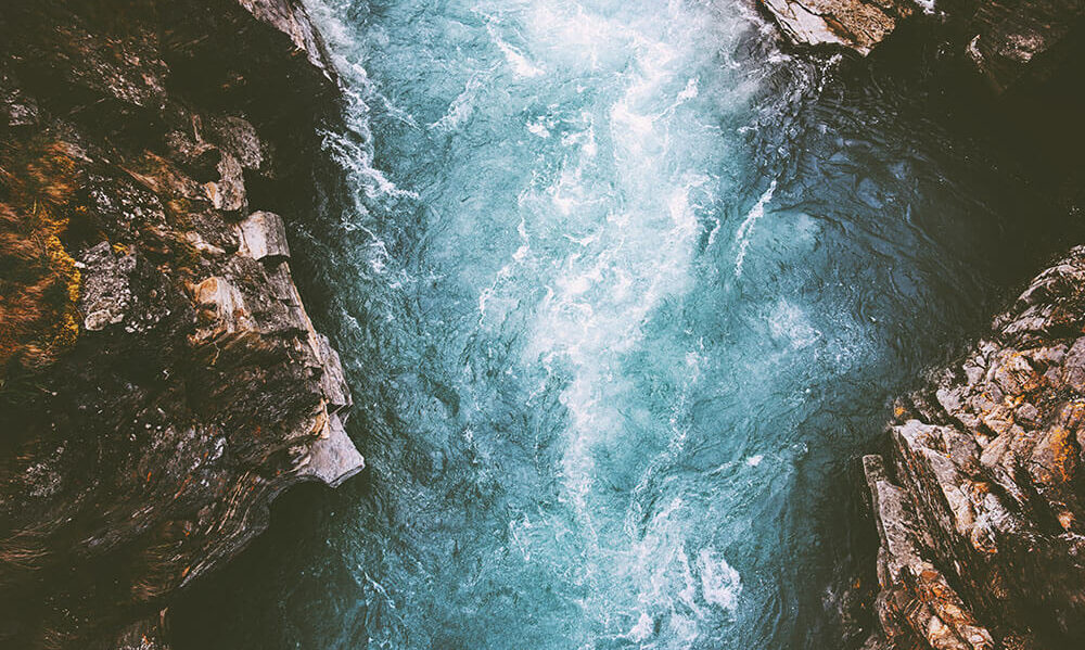 Meet Element Biosciences at AMP 2024