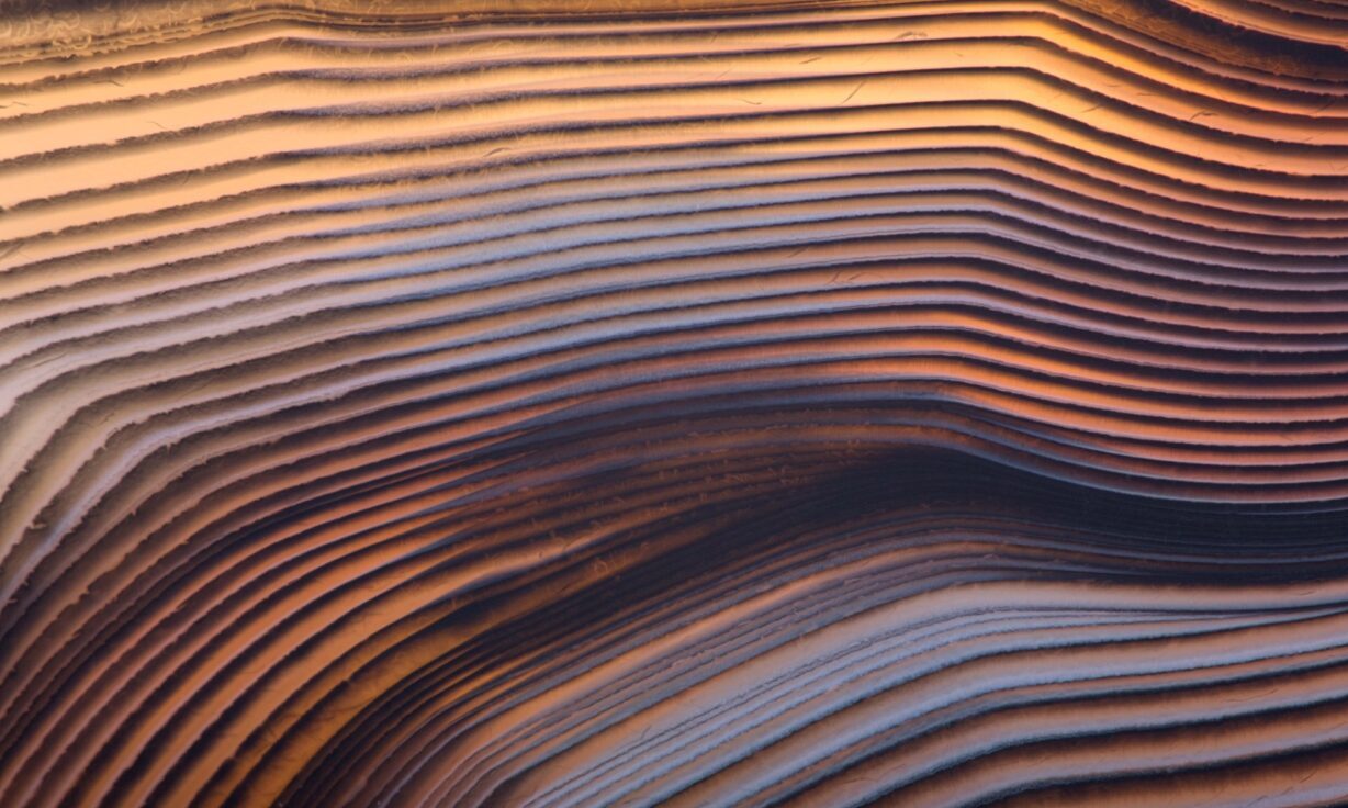 Meet Element Biosciences at CEEHRC 2023