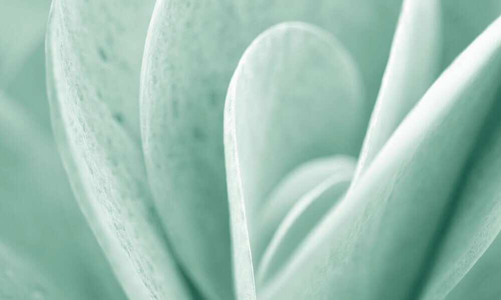 Meet Element Biosciences at the Festival of Genomics