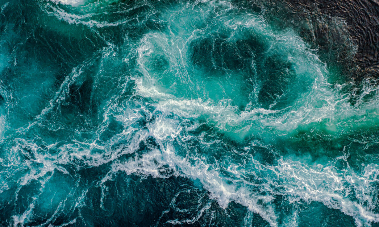 Meet Element Biosciences at AMP 2023