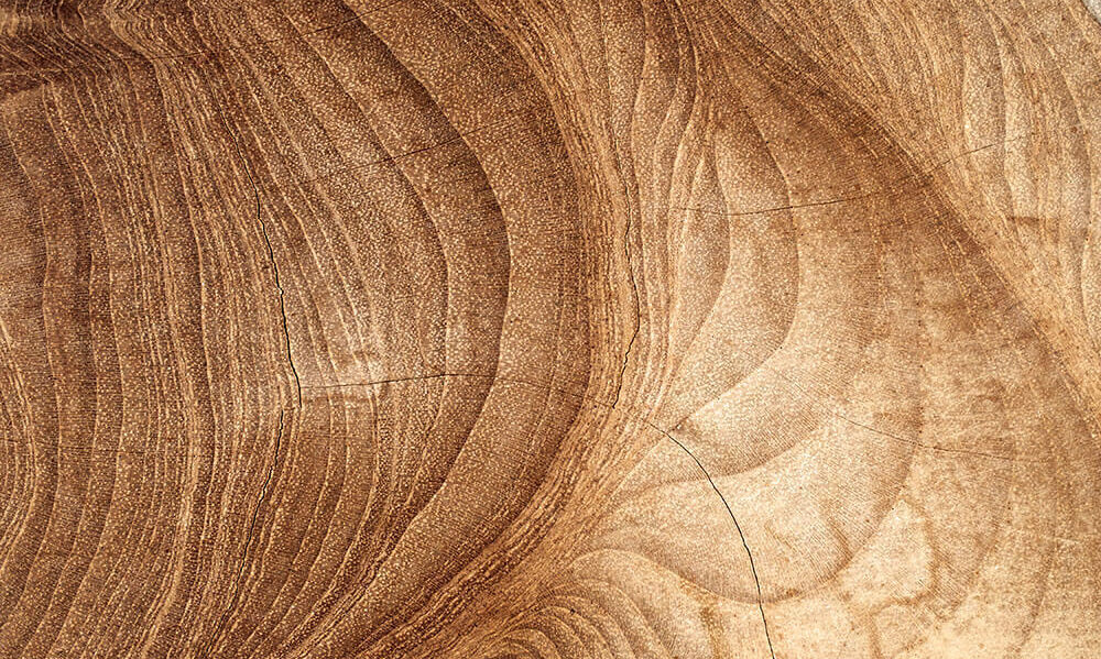 Meet Element Biosciences at ESHG Milan