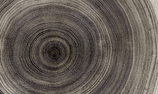 Meet Element Biosciences at PAG 32