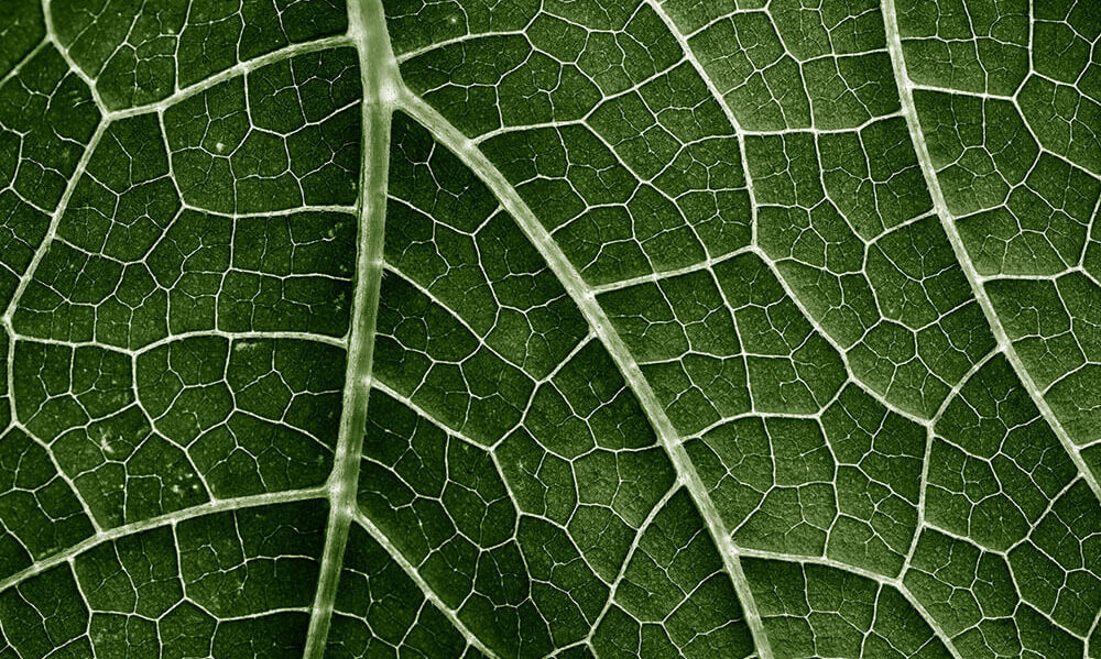 Meet Element Biosciences at ABRF 2025