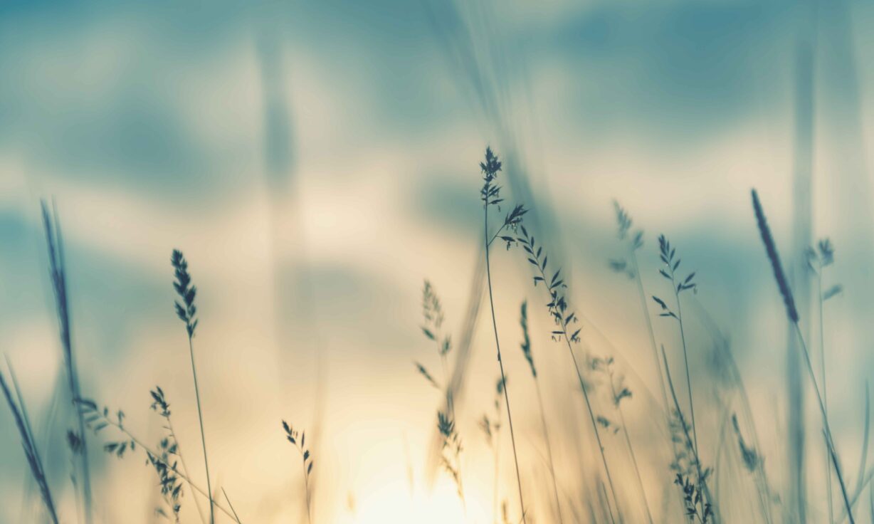 2025 Shift Your Science Roadshow - See the Full Picture with AVITI24™