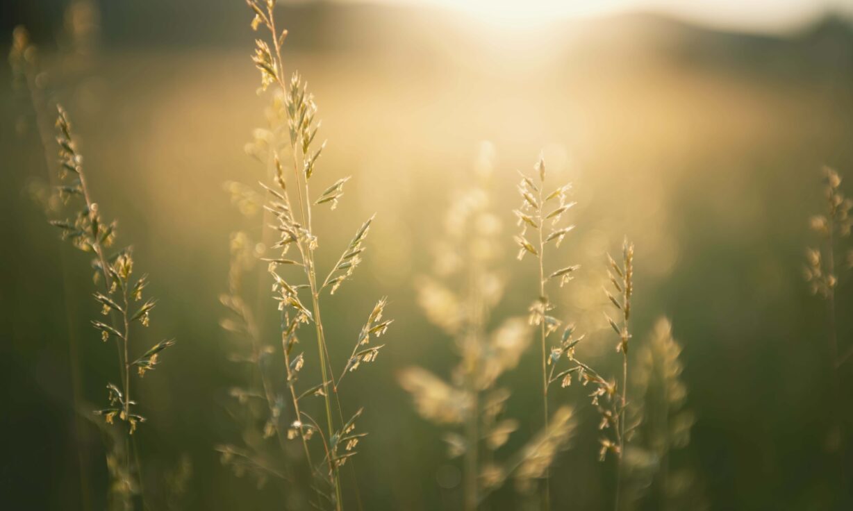 Meet Element Biosciences at AGBT 2024