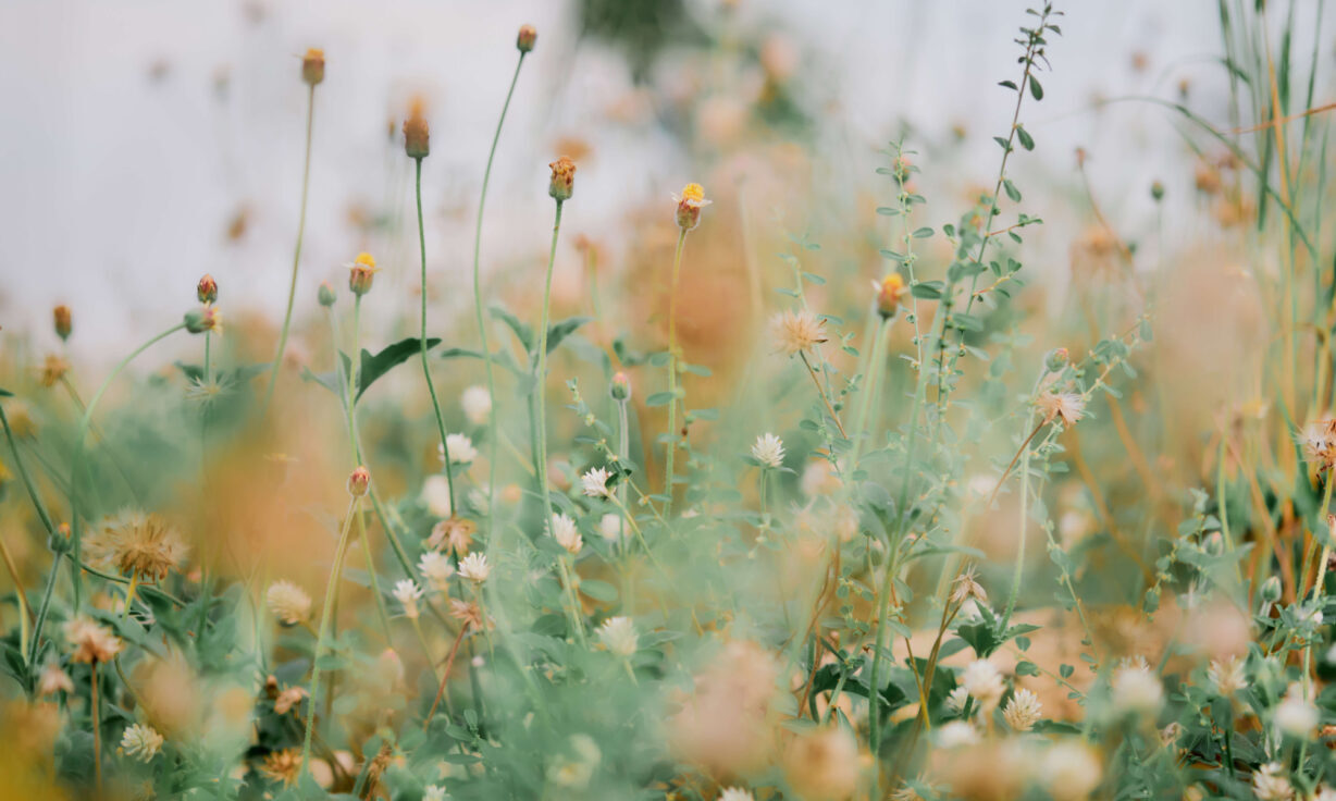 EMEA Webinar Series: AVITI™ Always Fits