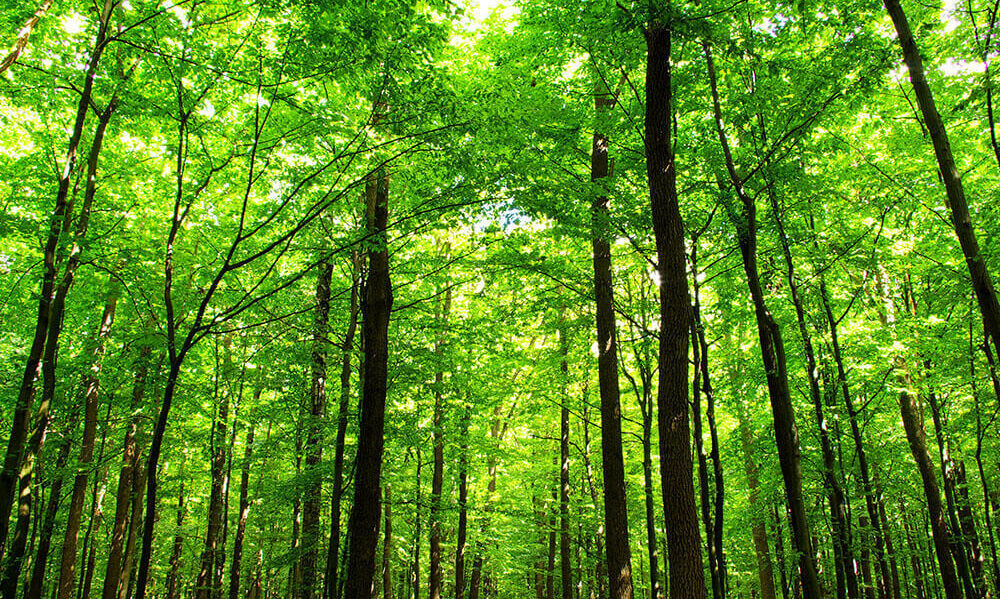 Meet Element Biosciences at Oz Single Cell Sydney