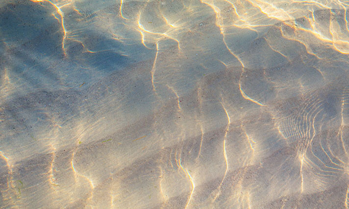 EMEA Webinar - Accelerating Drug Discovery with 5D Multiomics and High-Throughput Transcriptomics