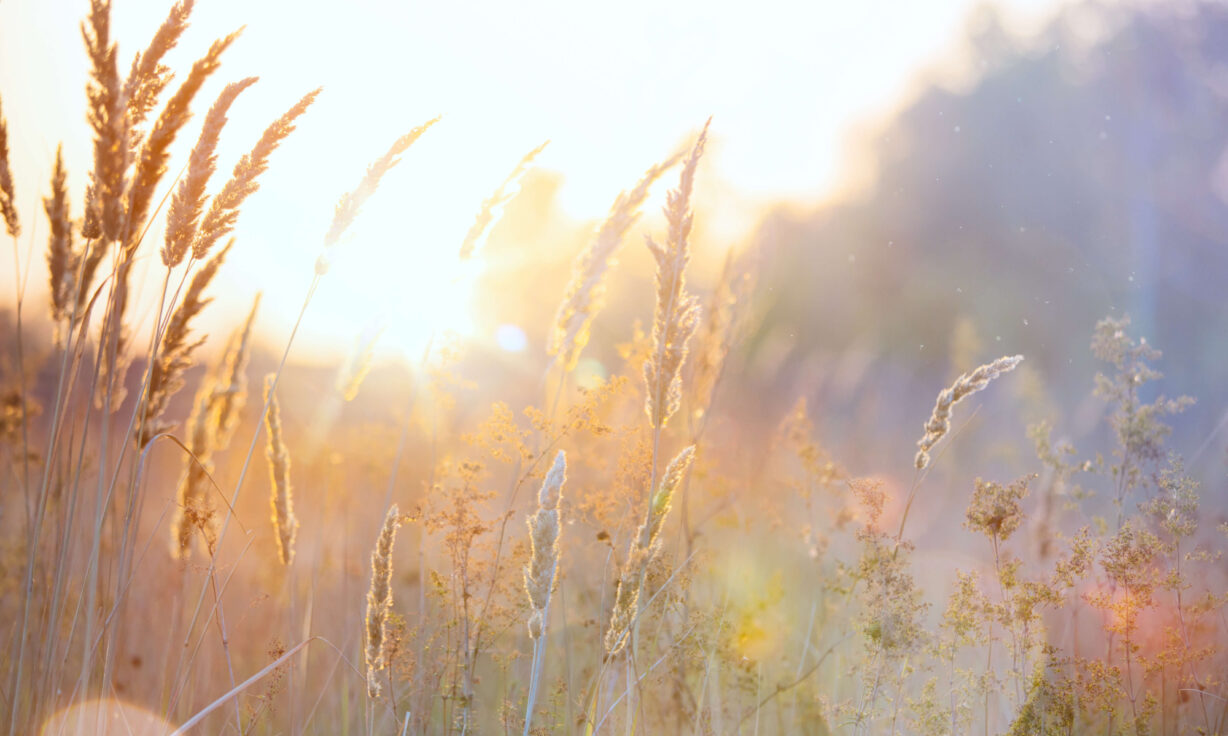 Meet Element Biosciences at Olink Proteomics World