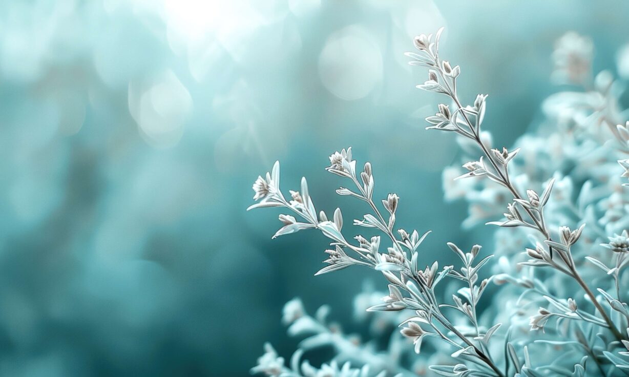 Meet Element Biosciences at the AGBT Agricultural Meeting