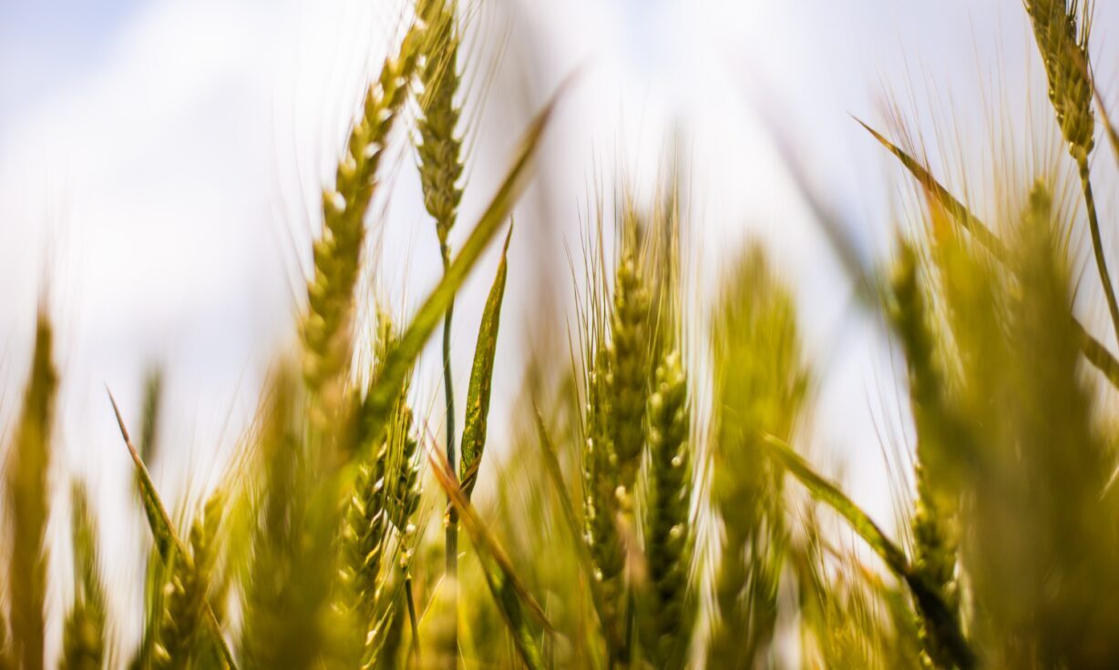 Meet Element Biosciences at AGBT Agriculture Meeting 2023