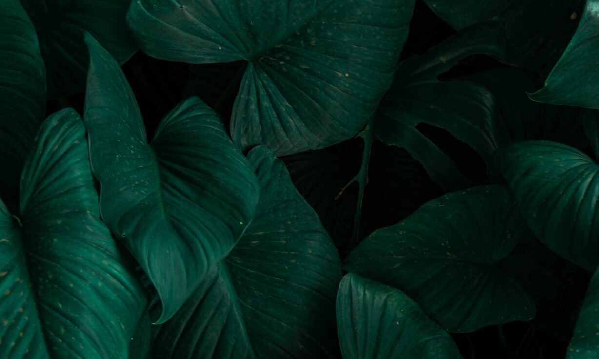 Webinar - Genomics Unmuted: Unlocking the Future of Sequencing in Agriculture