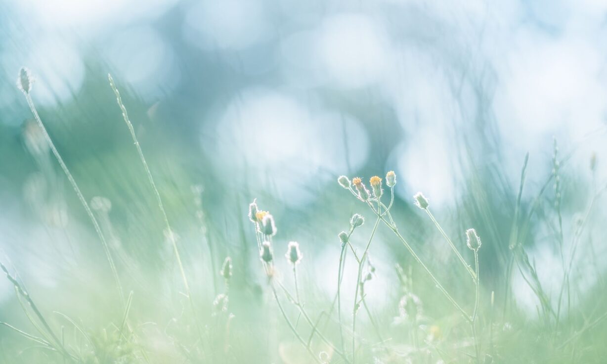 Meet Element Biosciences at ESHG 2023