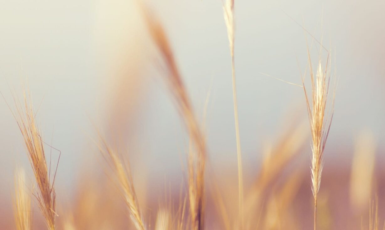 Coffee at Columbia with Element: Coffee and Cloudbreak™