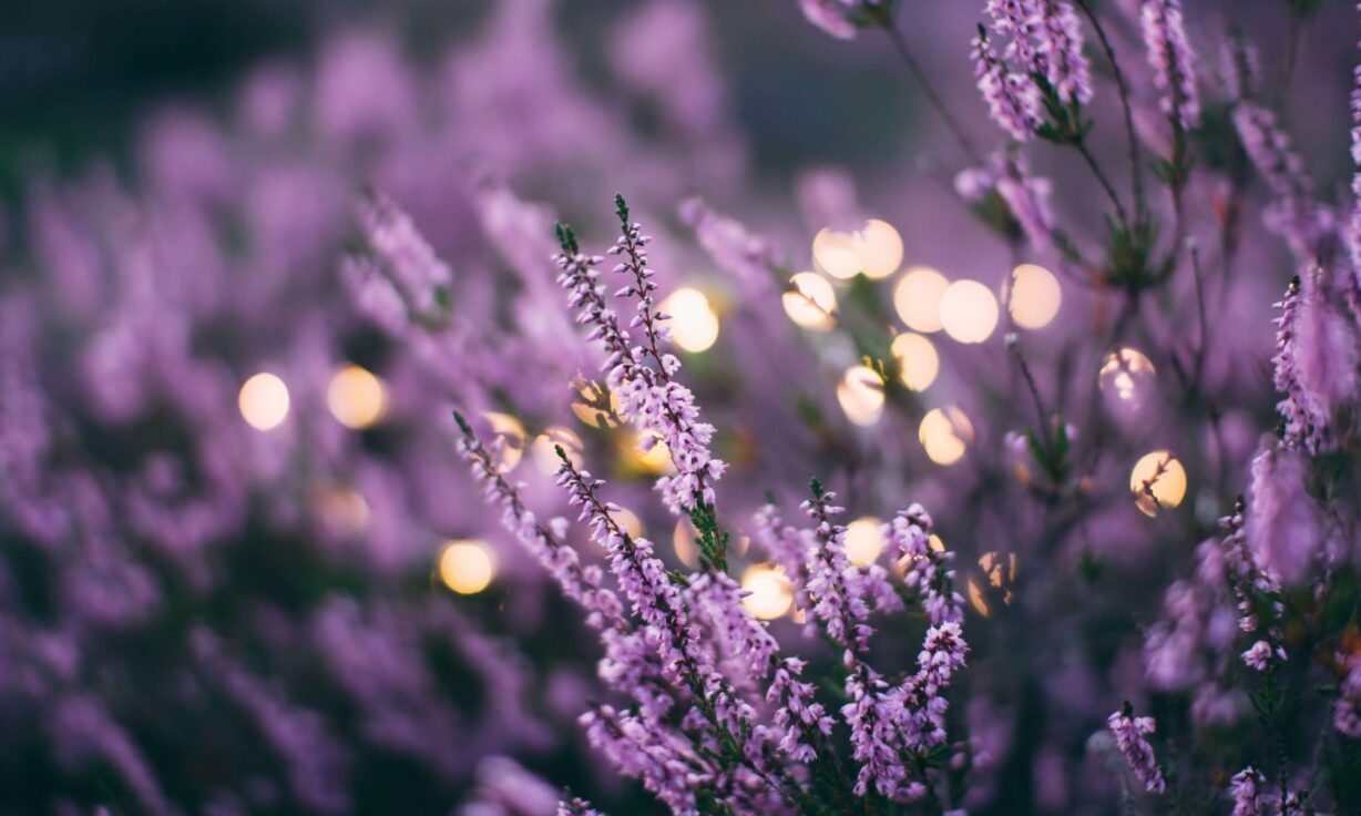 Meet Element Biosciences at ASM