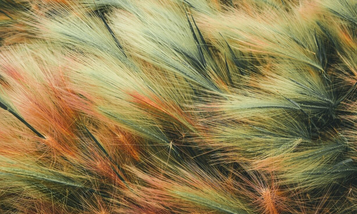 Join us for a Lunch & Learn at The Broad Institute