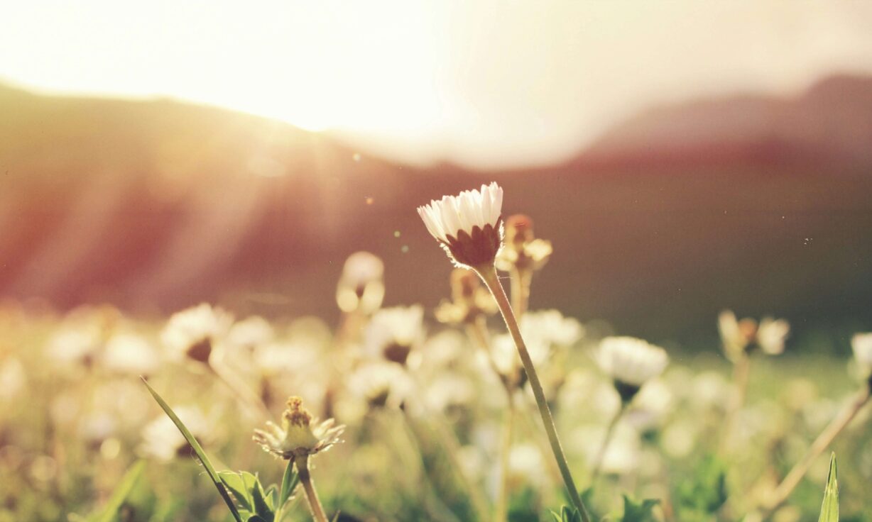 Shift Your Science Webinar: AVITI24™ - Accelerating Discovery Through Integrated Sequencing and Cytoprofiling