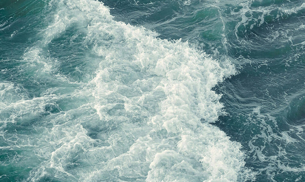 Meet Element Biosciences at EACR