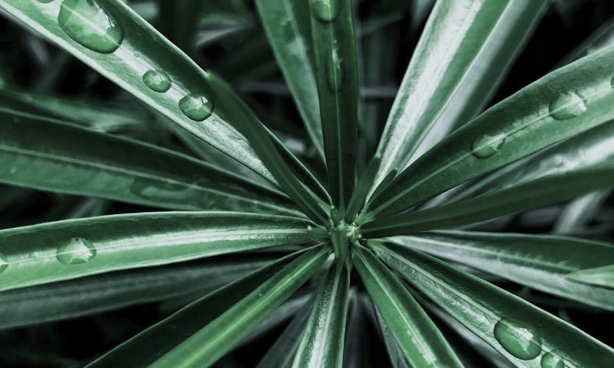 Stanford Careers Event