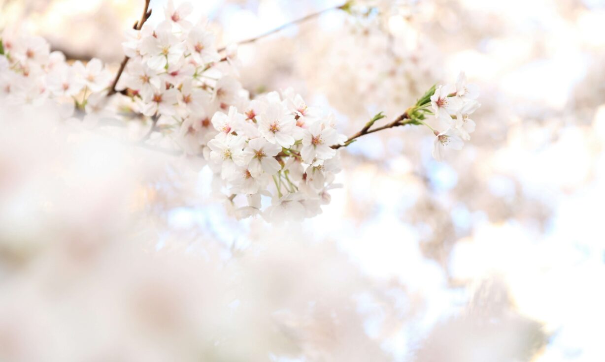 Meet Element Biosciences at Molecular and Precision Med Tri-Con