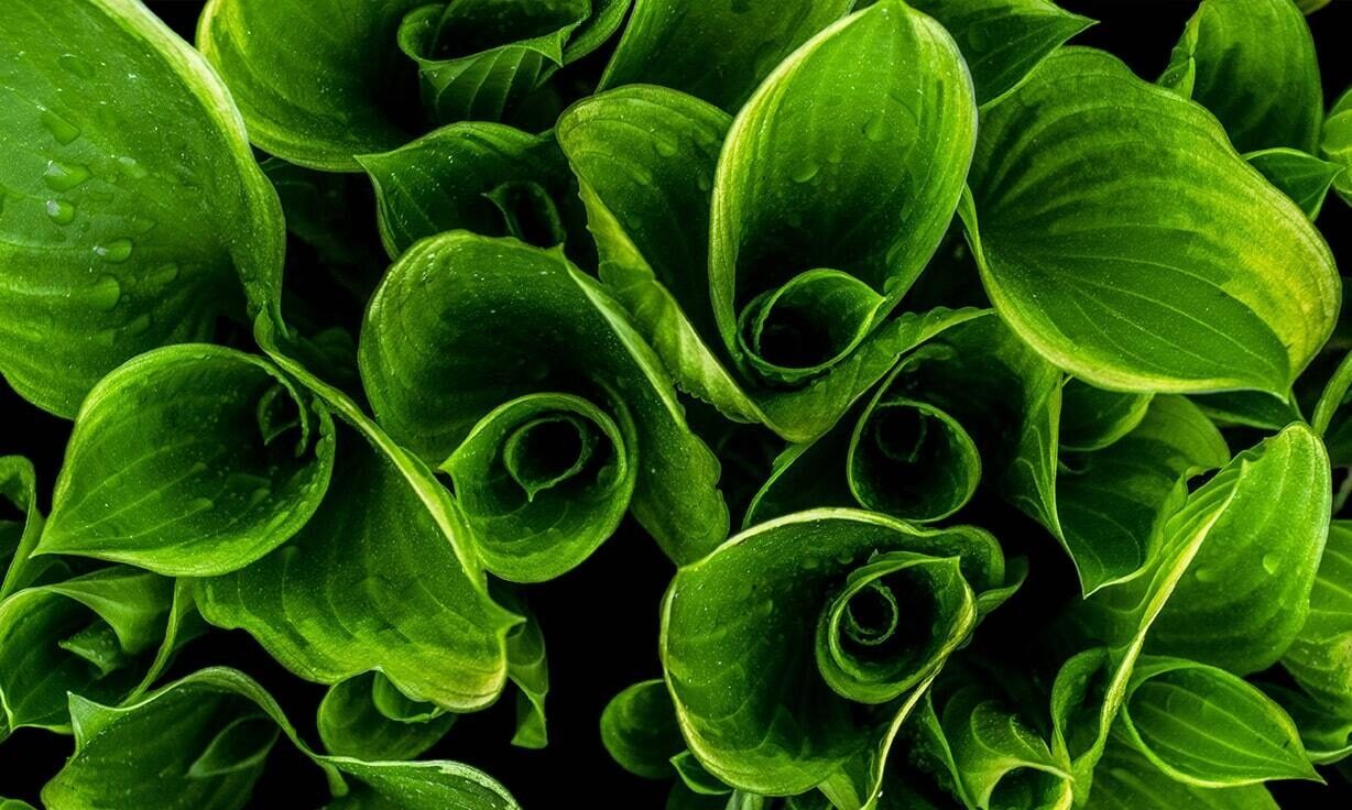 Element Biosciences and Agilent Technologies Expand Partnership