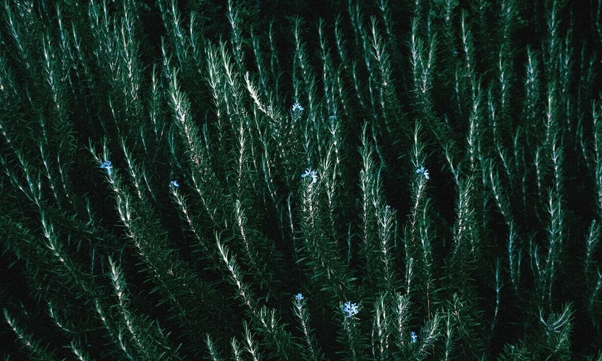 Element Biosciences Announces Genomics Industry Veteran as Senior Vice President of Marketing and Product Management